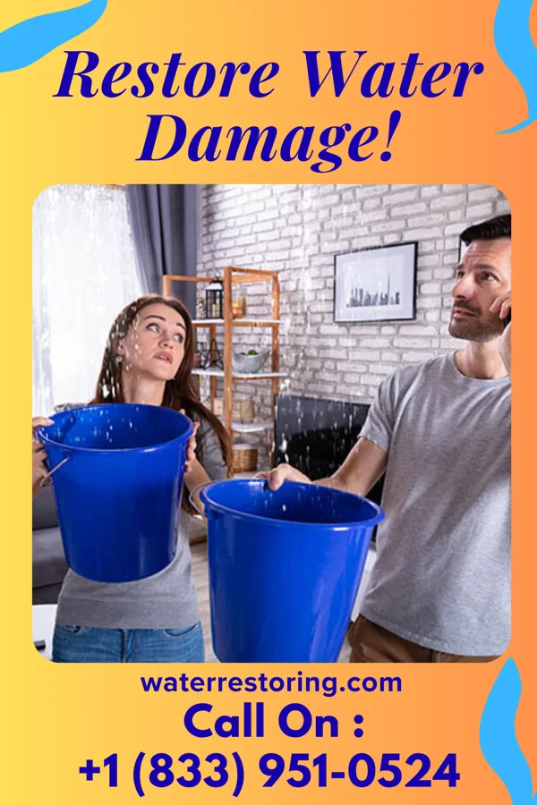 water restoration Ideal Restoration Network South Yarmouth